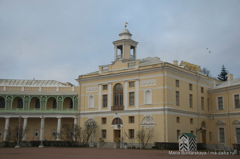 Павловск, 13 декабря 2015 года