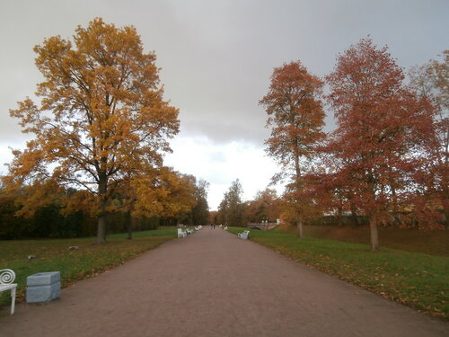 Осенняя прогулка...