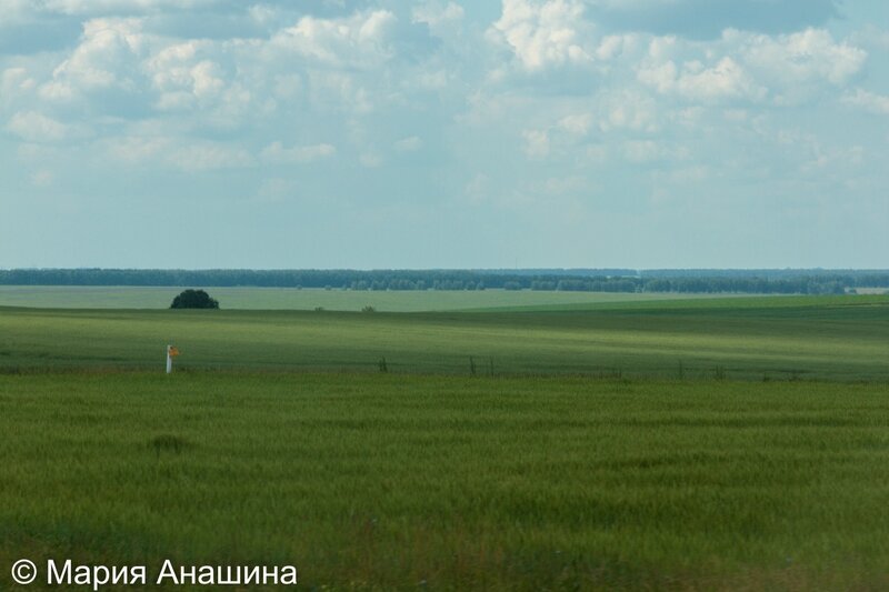 Лесостепь в Рязанской области