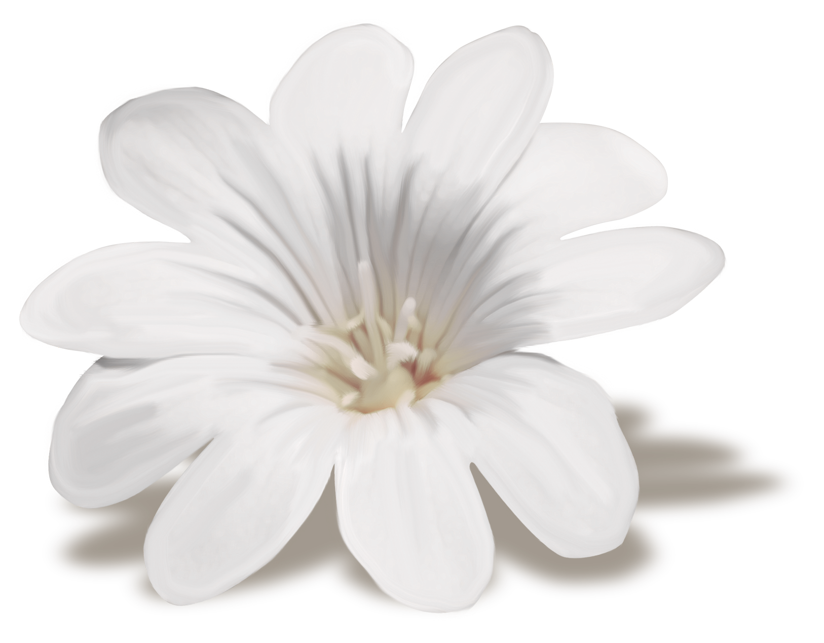 Стикер цветы для телеграмма фото 76