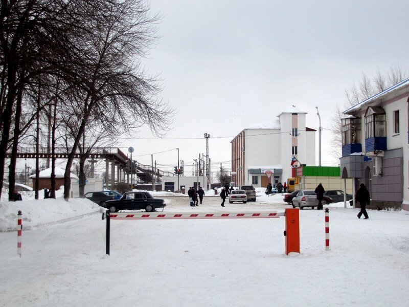 Погода в деме на 10 дней. Дема фото. Композиция в городе фото Уфа дёма зимой. Парк уфимской демы фото зимой.