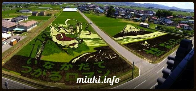 Искусство тамбо - картины на рисовых полях Японии