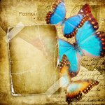 vintage photo album with butterflies