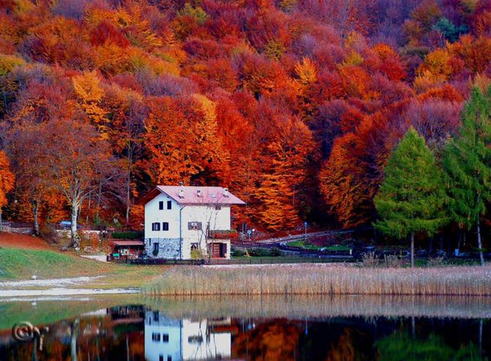 Яркие фотографии: красивая осень в разных странах мира