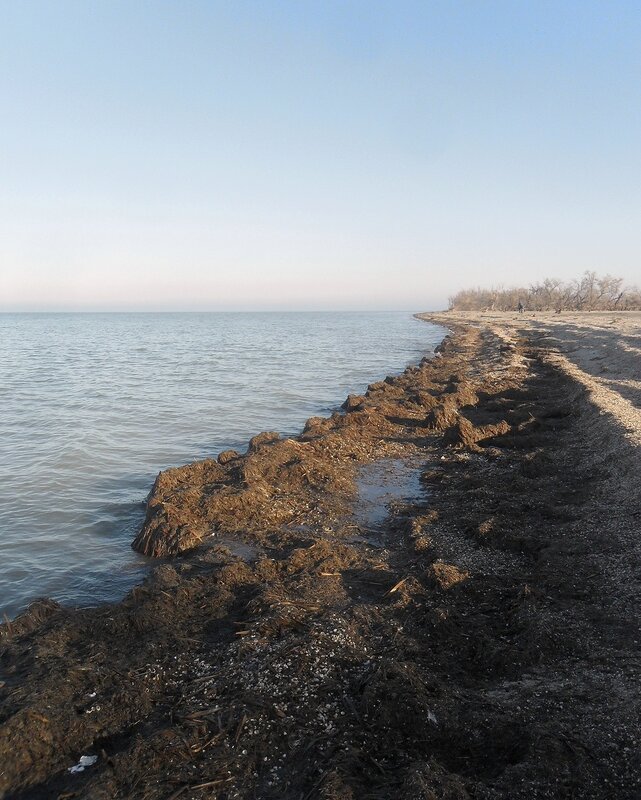 Фото походное, ноябрь, берег Азовского моря, 2014 год