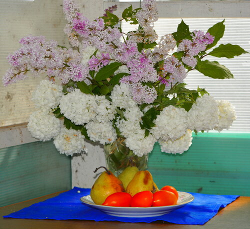 цветы и фрукты