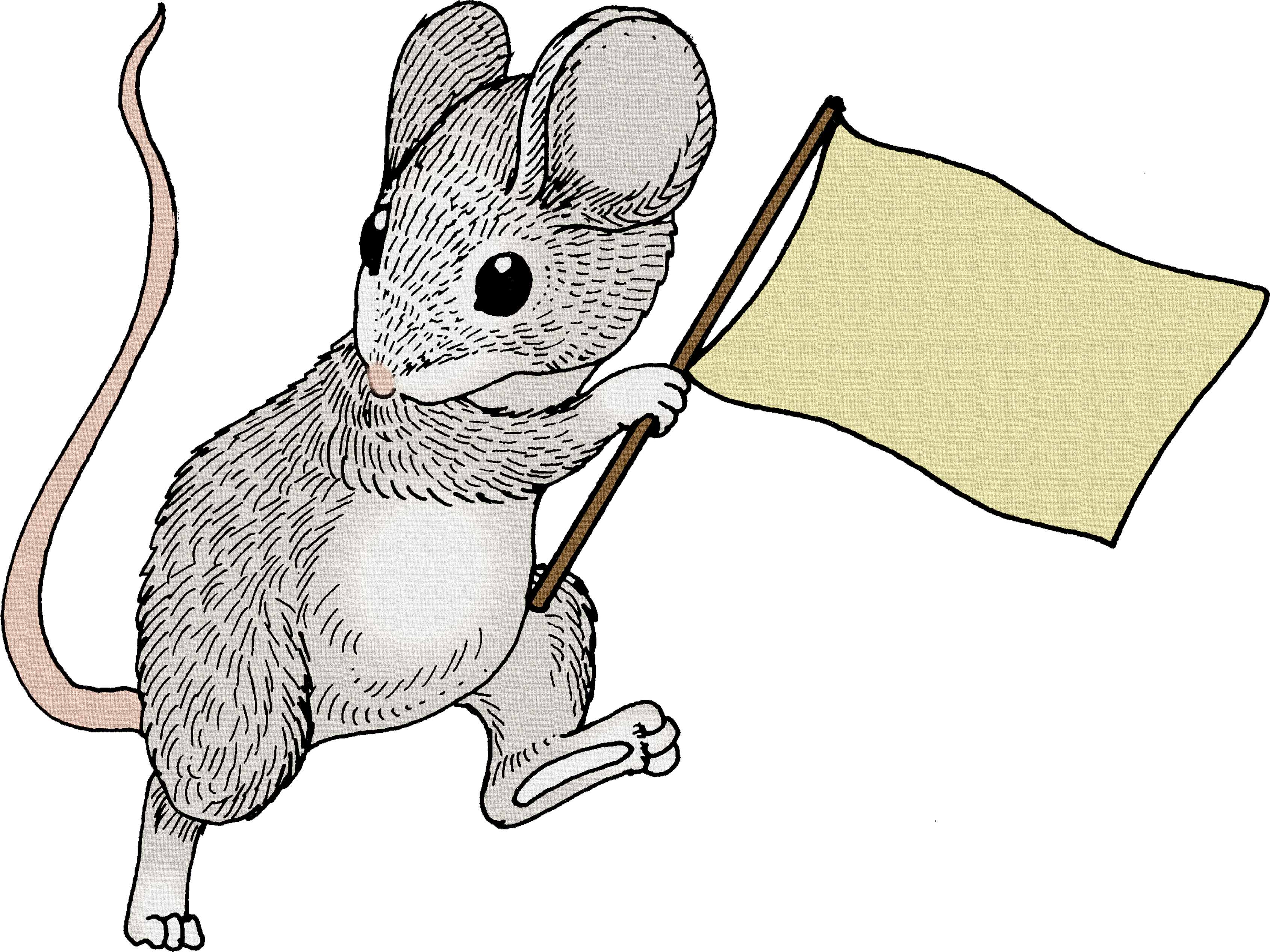Картинка мышки. Рисуем мышку. Мышонок на прозрачном фоне. Серенькая мышка для детей. Мышонок для детей на прозрачном фоне.