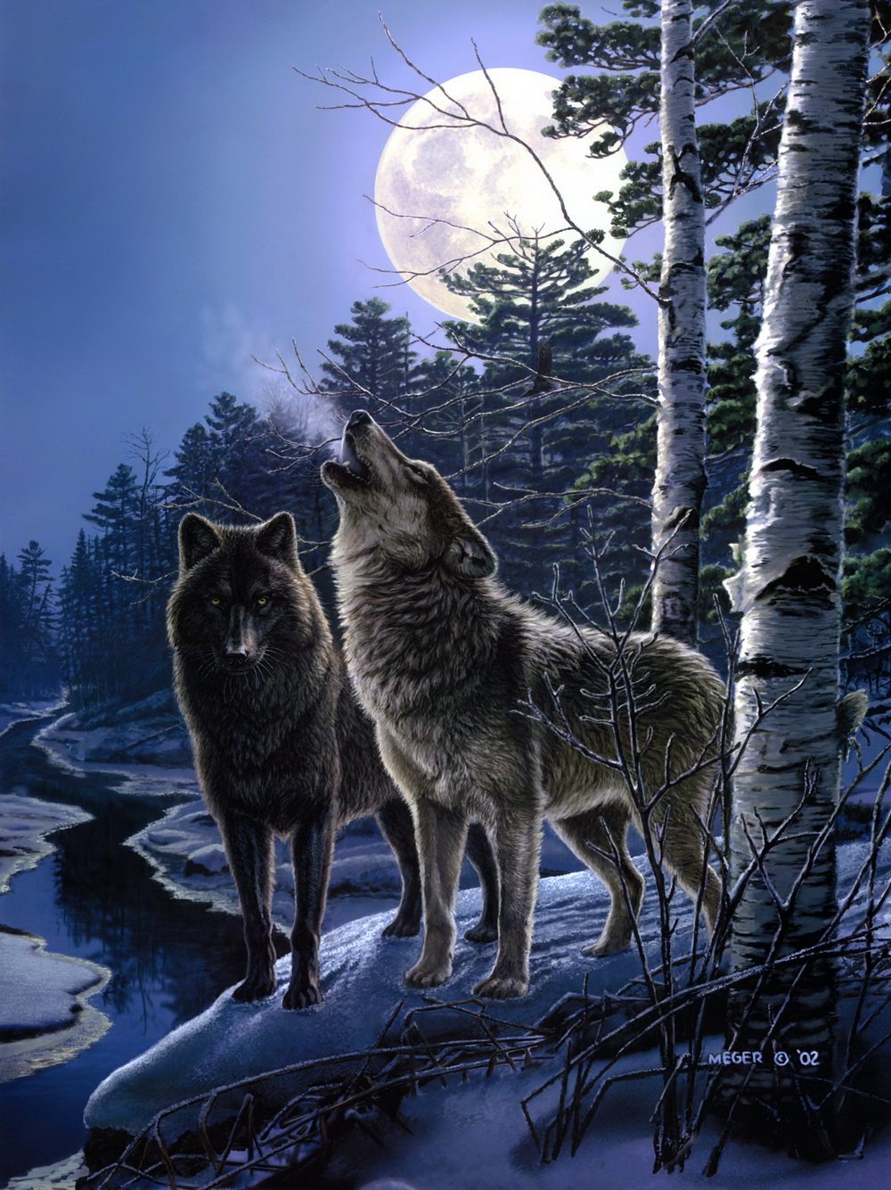 Природу про волков. Художник James Meger. Картина стая Волков. Волк в лесу. Пейзаж с волком.