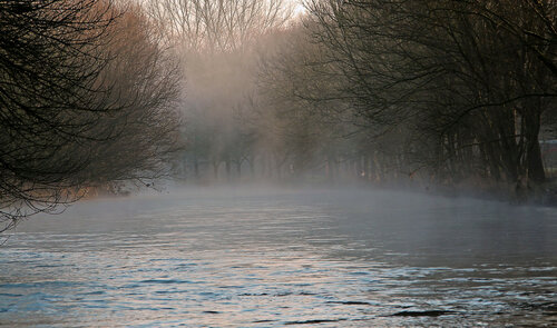 На реке туман