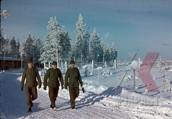 stock-photo-hugo-krause-134th-gebirgsjager-division-finland-1944-9146.jpg