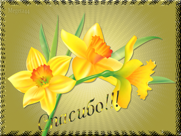 Спасибо открытки весенние. Открытка «Нарцисс». Открытки спасибо весенние. Благодарность весенние цветы. Спасибочки с весенними цветами.