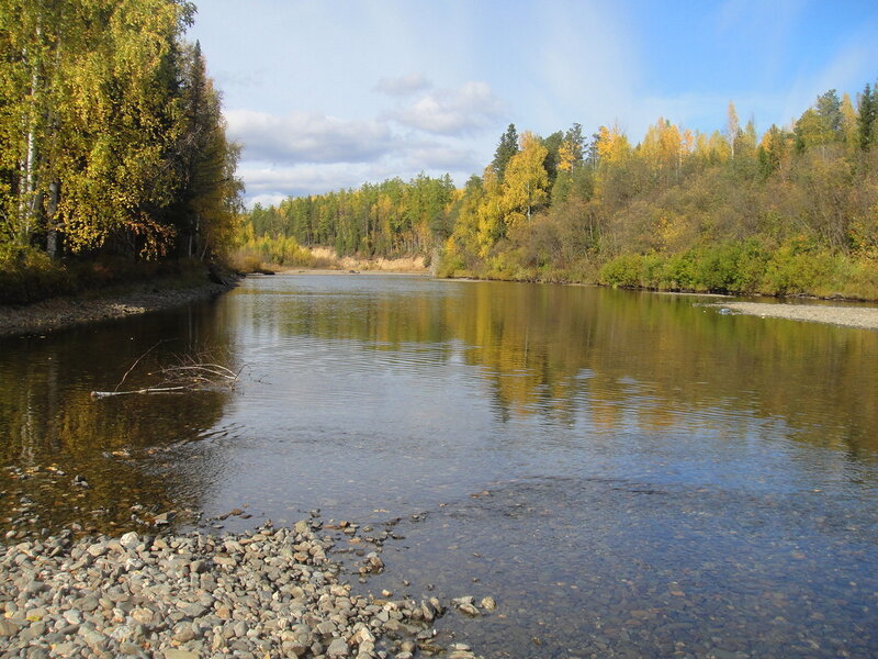 река Ушма