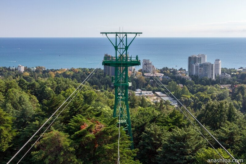 Линия канатной дороги, Дендрарий, Сочи