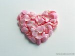 Expressing Love - Valentine's Day Sweet Heart