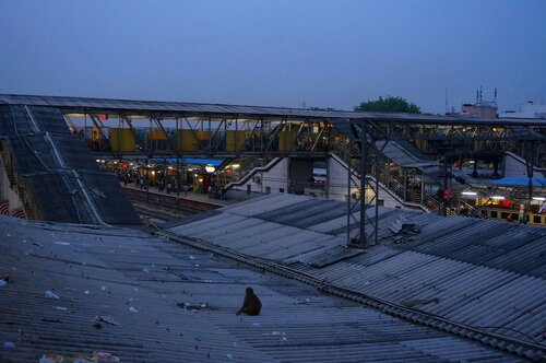 Delhi, Nizamuddin train station. Lonely monkey
