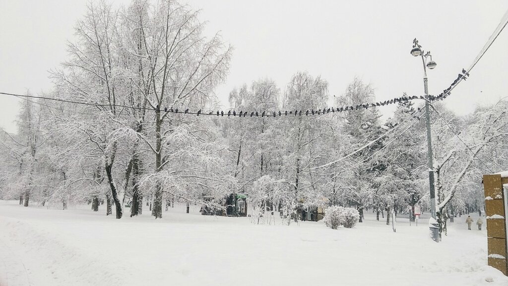 Снегопад в Москве border=