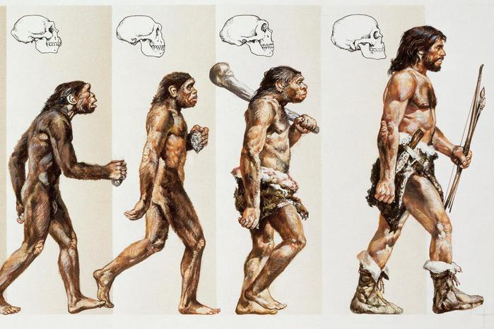 Главные ошибки теории эволюции Дарвина