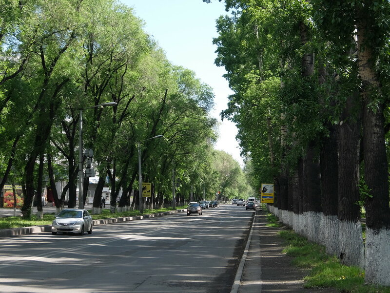 Улица Циолковского