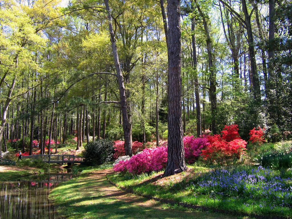 Early April in Georgia's Callaway Gardens