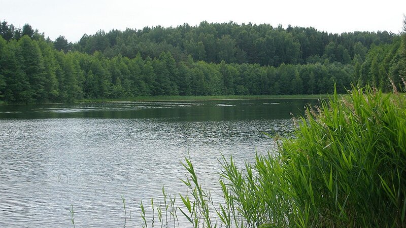 Озеро разбита. Озеро Замошье. Ушачские озёра. Озеро Веркуды. Озеро Усвея Ушацкий район.