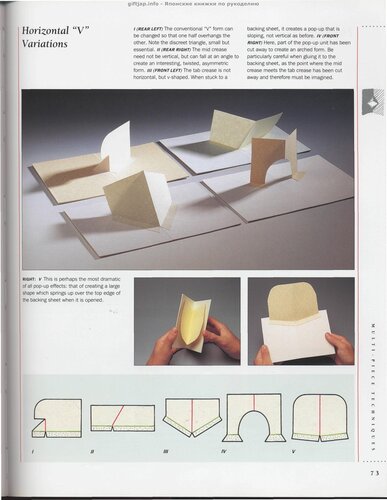 The Pop-Up Book