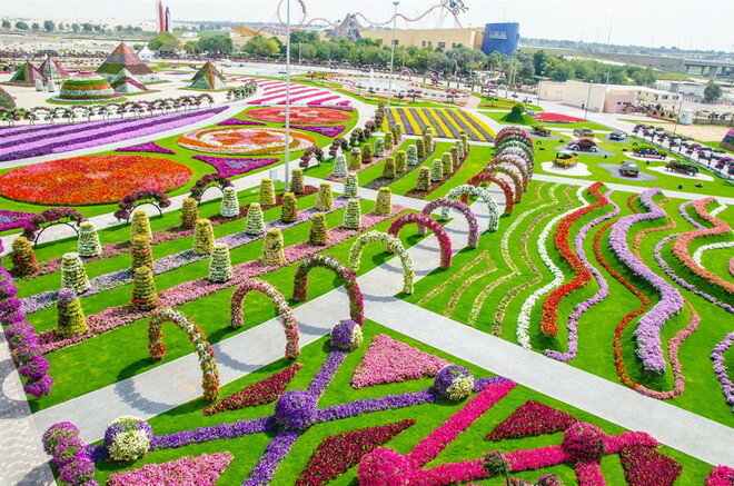 Парк цветов Dubai Miracle Garden. ОАЭ
