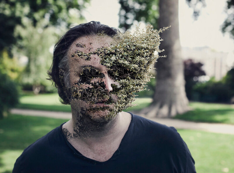 Человек Растение Фото
