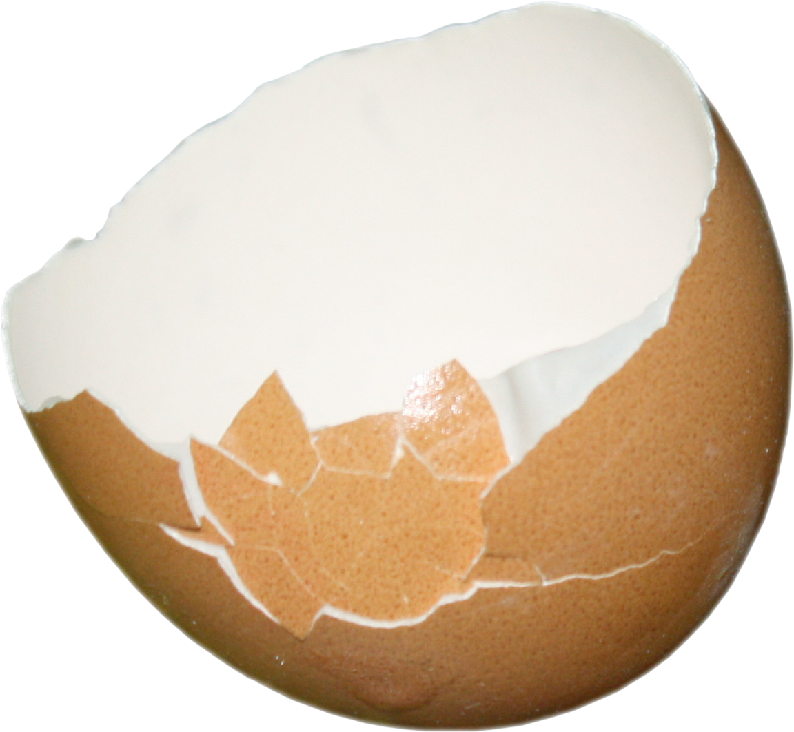 Скорлупа яиц. В скорлупе. Скорлупа яичная на прозрачном фоне. Разбитое яйцо. Яйцо трещина