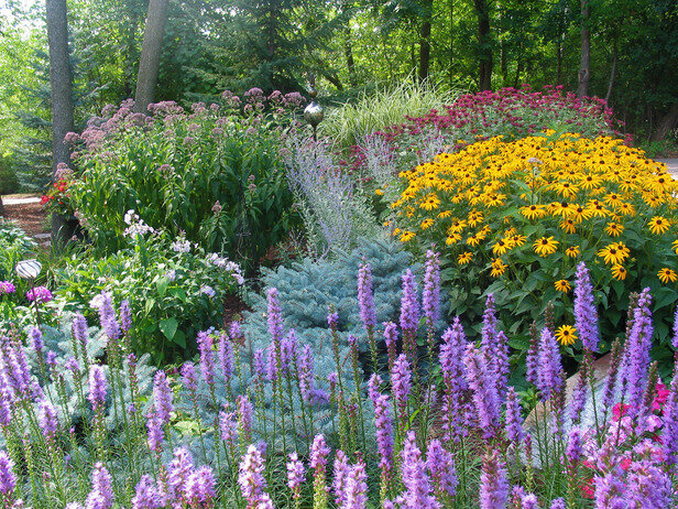 Wide view of a colorful floral garden on Rate My Space - purple, yellow, and red  colors highlight this landscape.