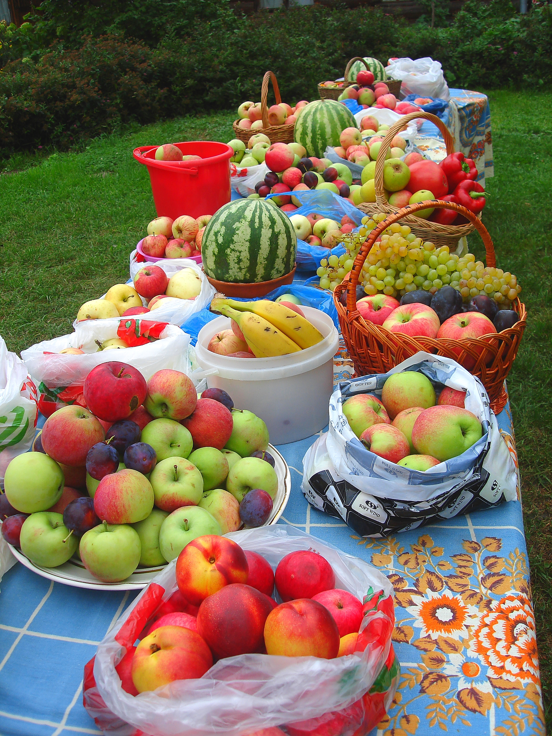 Дары лета купить. Летние фрукты. Фрукты на столе. Летний урожай. Летние дары природы.