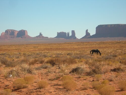 Одинокая лошадь в Долине Монументов.