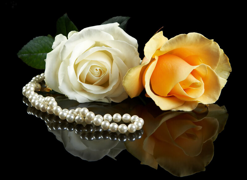 necklace and roses