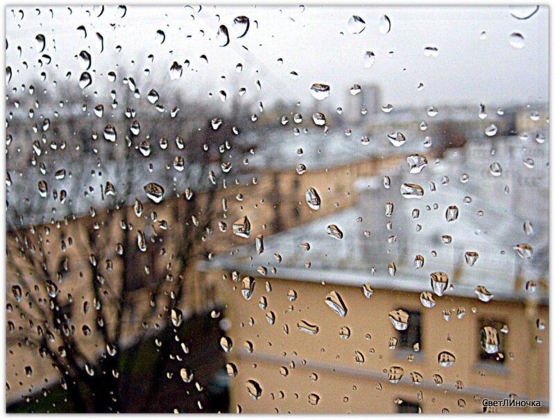 За окном дождь тайпан песня. Дождь за окном. Дождь в окне. Летний дождь за окном. Август дождь окно природа.