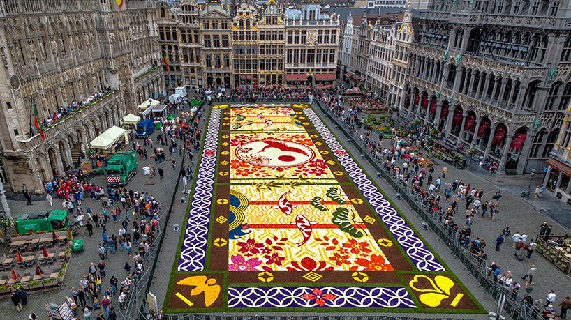 Ковер из 600 тысяч цветов в Брюсселе