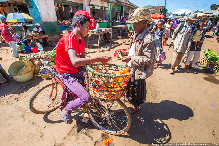 Мадагаскарский треш-рынок