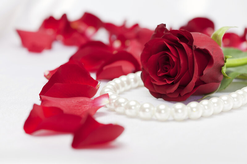 Red rose with a string of white pearls and petals
