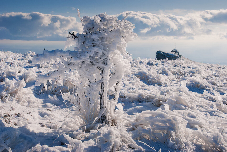 Crimea at winter