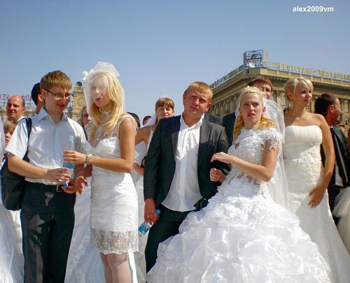 Женихи и невесты