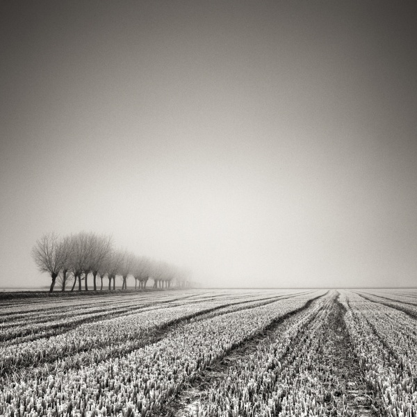 Тишина в чёрно-белой фотографии Пьерра Пеллегрини