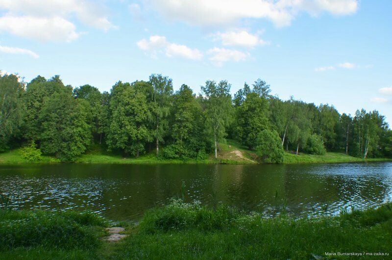 Сергиев Посад, 08 июня 2015 года