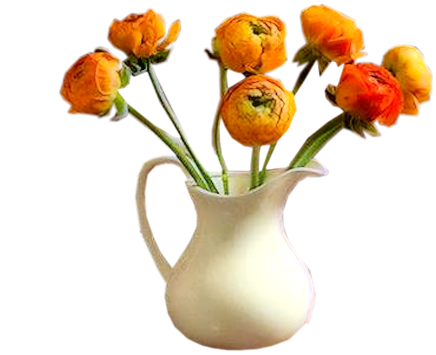цветы в вазах