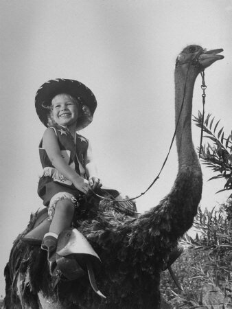 riding on an ostrich