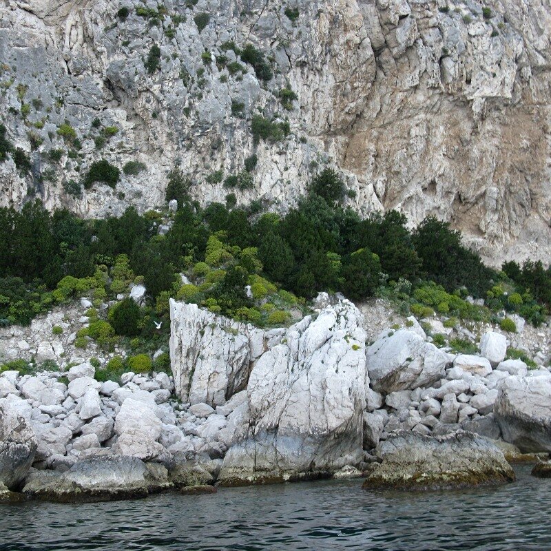 By boat along the cliffs of Capri island
