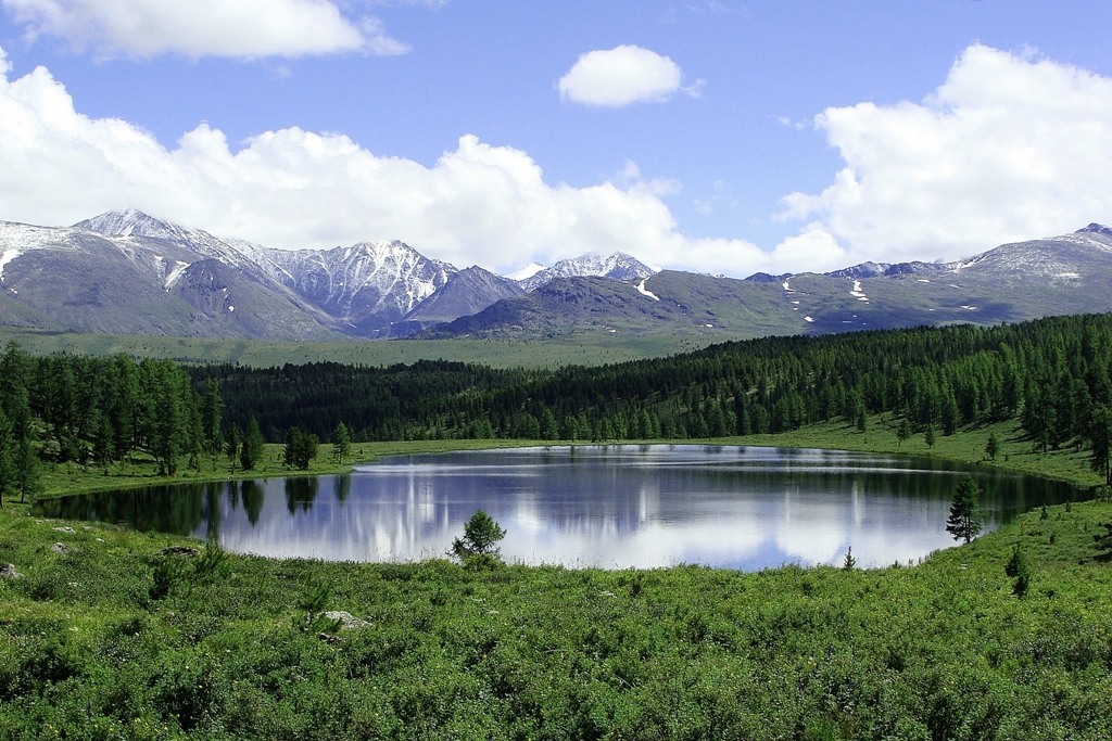4 озера на алтае. Алтайский край. Озеро Киделю горный Алтай. Озера Улаганского плато. Озеро Алтайское Алтайский край.
