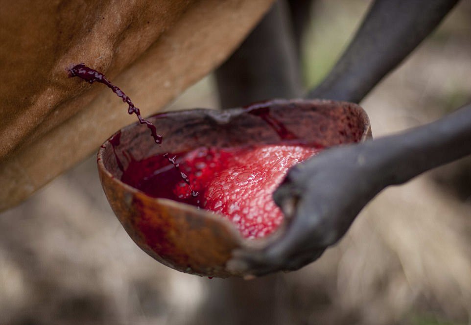 Кровь с молоком: конкурс на самого пузатого мужчину в Эфиопии