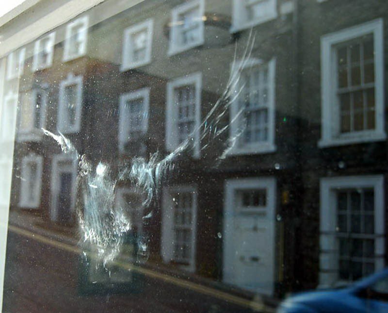 Не заметил стекло. Птица врезалась в окно. Птица врезалась в стекло. Птичка ударилась в окно. Отпечаток на окне.