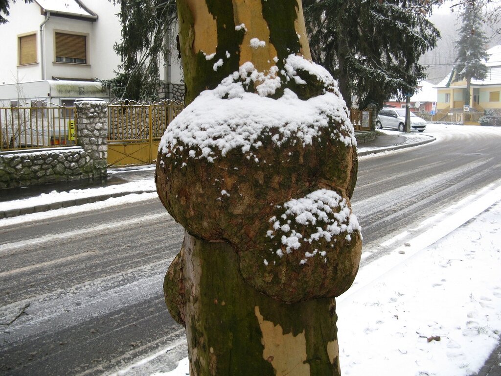 Мишкольц после снегопада