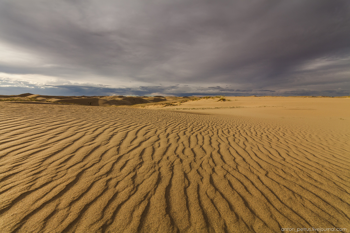 Пустыня Гоби. Следы на песке