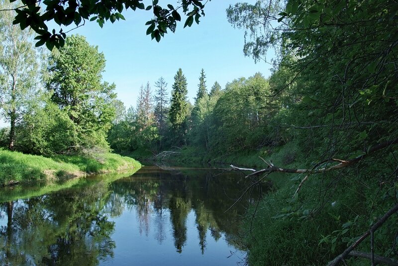 В природе средней полосы россии есть. Красота природы средней полосы России. Реки средней полосы России. Лето река лес отражение. Малые реки средней полосы.
