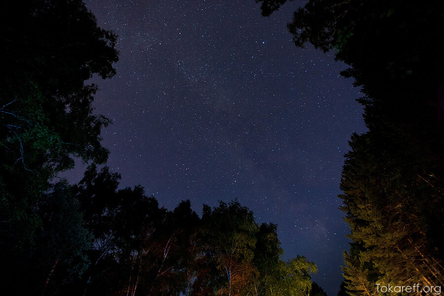 Ночью первый из колонны. Ночное небо в лесу реальное. Звездное небо ЛЕНОБЛАСТЬ. Ночное небо Кисловодска. Ночное небо в лечу горизонтально.